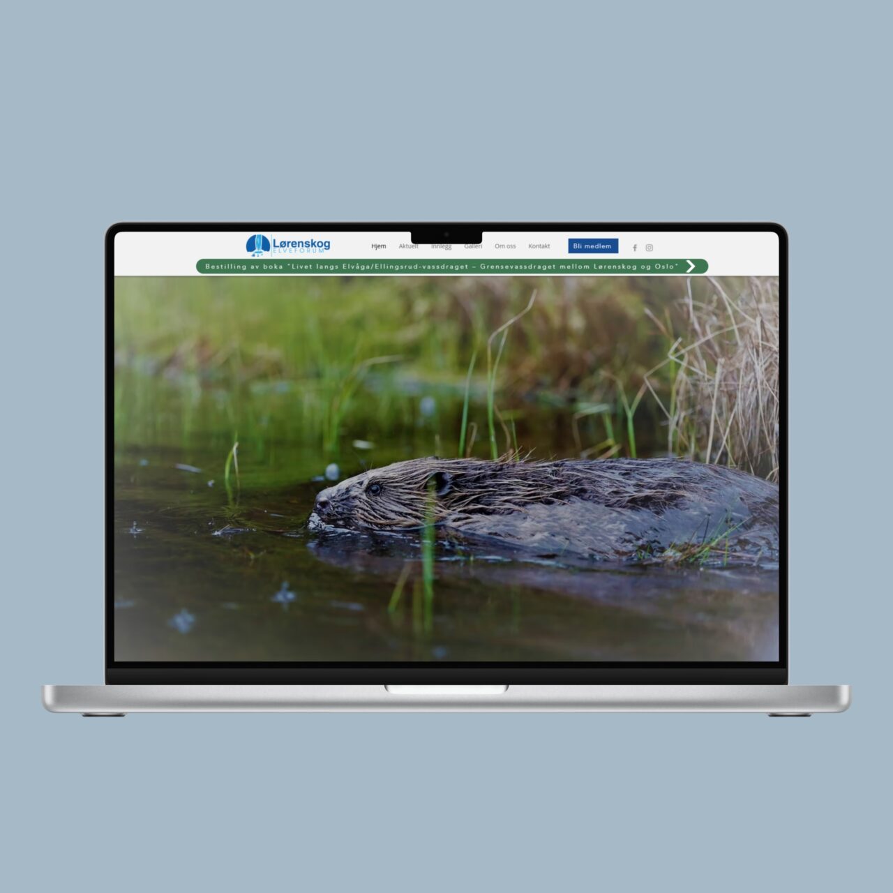 Lørenskog Elveforum