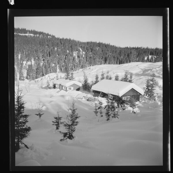 URN_NBN_no-nb_digifoto_20170119_00252_NB_MIT_FNR_18719