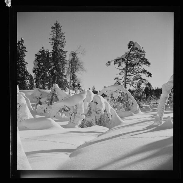 URN_NBN_no-nb_digifoto_20170119_00253_NB_MIT_FNR_18716