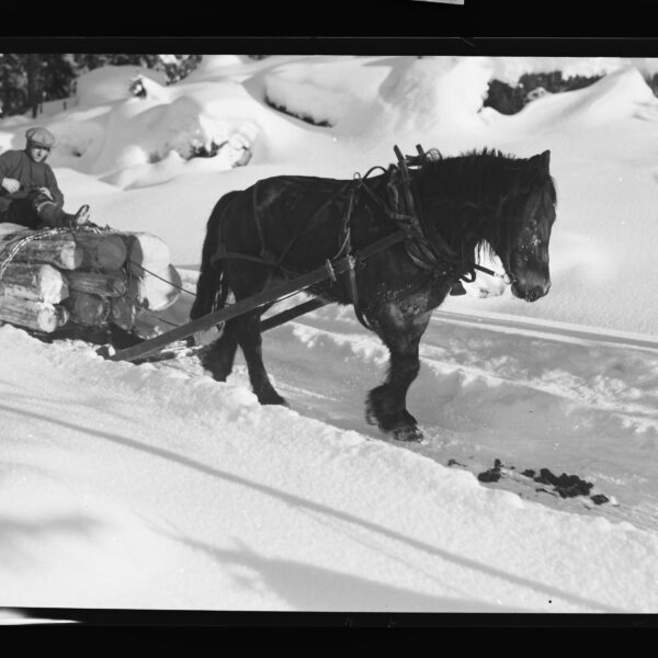 URN_NBN_no-nb_digifoto_20171002_00167_NB_HS_O_00016