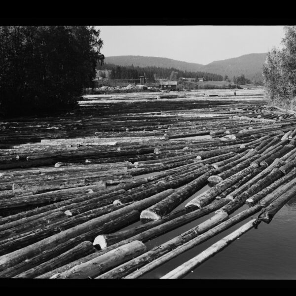 URN_NBN_no-nb_digifoto_20180104_00132_NB_HS_O_00732