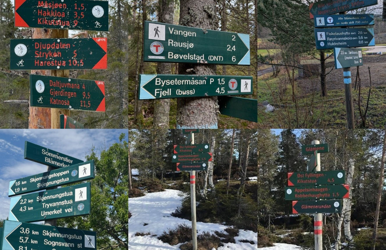 Nina Didriksen kollasj